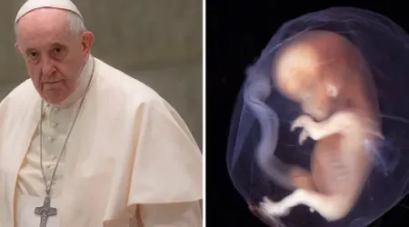 Papa Francisco en el Vaticano/Embrión de 10 semanas