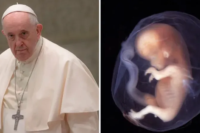 Papa Francisco en el Vaticano/Embrión de 10 semanas