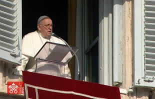 El Papa Francisco en el rezo del Ángelus este 31 de diciembre. Crédito: Captura de video / Vatican Media.