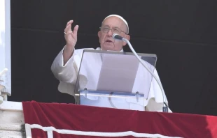 El Papa Francisco en el rezo del Ángelus, este domingo 16 de junio, desde el Palacio Apostólico del Vaticano. Crédito: Vatican Media.