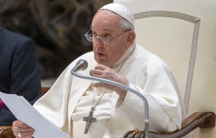 El Papa Francisco. Crédito: Daniel Ibáñez / ACI Prensa