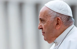 El Papa Francisco. Crédito: Daniel Ibáñez (ACI).