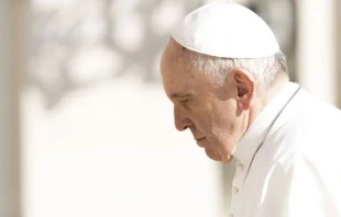 El Papa Francisco Crédito: Daniel Ibáñez / ACI Prensa