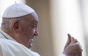 El Papa Francisco inicia el viaje más largo de su pontificado rumbo a Asia y Oceanía. Crédito: Daniel Ibáñez / EWTN Vatican