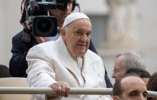 El Papa Francisco lamenta la "dramática desnatalidad" actual Crédito: Daniel Ibáñez / ACI Prensa