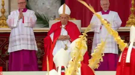 Papa Francisco Domingo de Ramos 2024