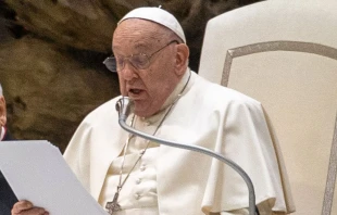 El Papa Francisco en el Vaticano. Crédito: Daniel Ibáñez / EWTN News.