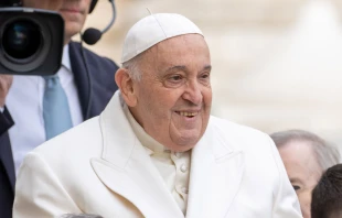 El Papa Francisco pregunta a cada uno: ¿Has compartido tu encuentro con Jesús? Crédito: Daniel Ibáñez / ACI Prensa