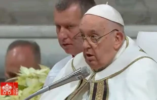 Papa Francisco. Crédito: Vatican Media (captura de video)