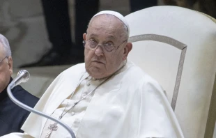 El Papa Francisco en una audiencia general en el Aula Pablo VI en el Vaticano. Crédito: Daniel Ibáñez / EWTN News.