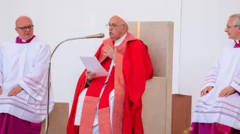 El Papa Francisco en la Misa de la víspera de Pentecostés 2024 en Verona, Italia,.