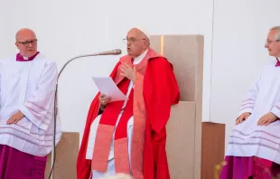El Papa Francisco en la Misa de la víspera de Pentecostés 2024 en Verona, Italia,. Crédito: Daniel Ibáñez / ACI Prensa