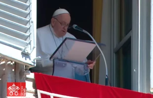 El Papa Francisco anima a seguir orando por el fin de la guerra en Ucrania, Israel y Palestina Crédito: Captura Youtube Vatican News