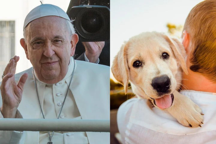 Vaticano: Papa Francisco dice que hoy se prefiere tener perros en vez de  hijos | ACI Prensa
