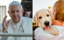 El Papa Francisco en la audiencia general - Una persona carga un perro.