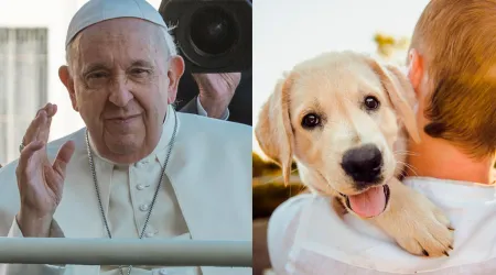 Papa Francisco perros hijos 18112023