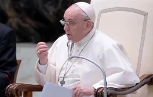 Papa Francisco. Cru00e9dito: Daniel Ibu00e1u00f1ez / ACI Prensa. 