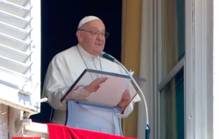 El Papa Francisco en el Domingo del Buen Pastor en el Vaticano. Crédito: Captura de video Youtube Vatican News