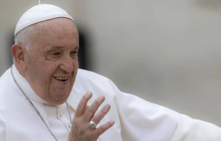 El Papa Francisco en el Vaticano. Crédito: Daniel Ibáñez / EWTN News