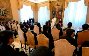 El Papa Francisco en su encuentro con seminaristas españoles en el Vaticano, el 16 de noviembre de 2024. Crédito: Vatican Media.