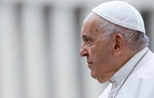 Imagen del Papa Francisco en la Audiencia General Crédito: Daniel Ibáñez/ACI Prensa