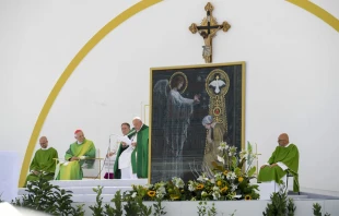 El Papa Francisco celebró la Misa este domingo 7 de julio en Trieste, al noreste de Italia. Crédito: Daniel Ibáñez / EWTN News.
