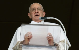 El Papa Francisco. Crédito: Vatican Media.