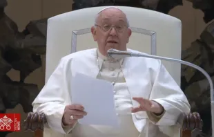 El Papa Francisco, durante la audiencia general del 3 de enero de 2024. Crédito: Vatican Media