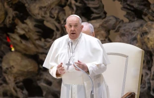 El Papa Francisco en el Aula Pablo VI este miércoles Crédito: Daniel Ibáñez/ACI Prensa