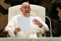 Imagen referencial del Papa Francisco en la Audiencia General