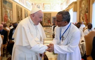 El Papa Francisco durante la audiencia con Hermanos de la Instrucción Cristiana de Ploërmel Crédito: Vatican Media
