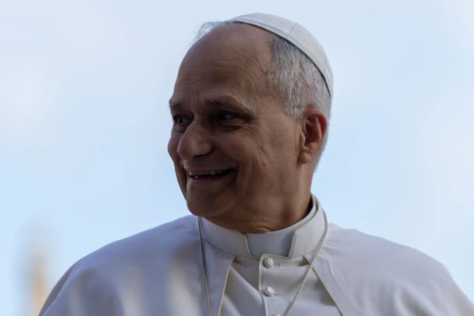 El Papa León XIV (8/11)