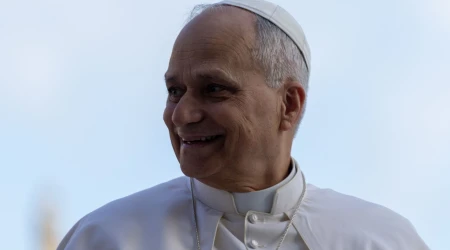 El Papa León XIV (8/11)