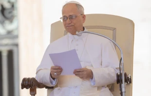 El Papa León XIV en su segunda Audiencia General Crédito: Daniel Ibáñez/ EWTN NEWS