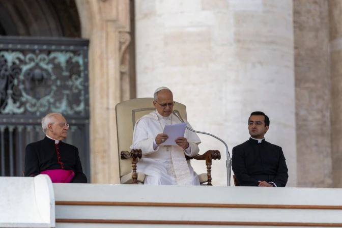 El Papa León XIV (8/11) 2