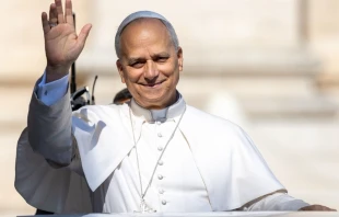 El Papa León XIV. Crédito: Daniel Ibáñez/EWTN.