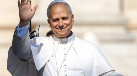 Papa León, Legisladores