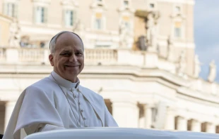 El Papa León XIV. Crédito: Daniel Ibáñez/EWTN News.