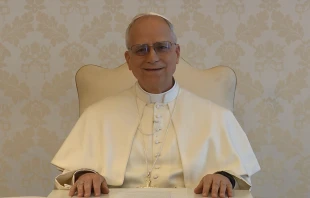 El Papa León XIV en su video mensaje a los jóvenes de Chicago y del mundo entero. Crédito: Vatican Media.