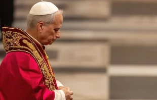 El Papa León XIV en el Vaticano. Crédito: Daniel Ibáñez / EWTN News.