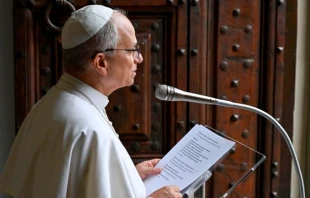 El Papa León XIV manifestó su cercanía a la India, Pakistán y Nepal desde la localidad italiana de Albano. Crédito: Vatican Media.