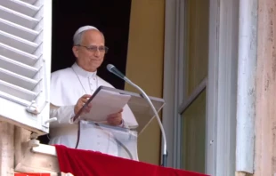 El Papa León XIV durante el rezo del Ángelus en el Vaticano, este domingo 24 de agosto de 2025. Crédito: Vatican News.