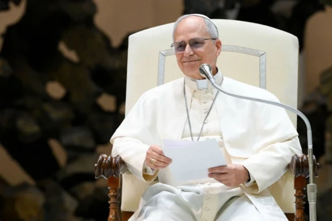 El Papa León XIV en el Aula Pablo VI. 11082025