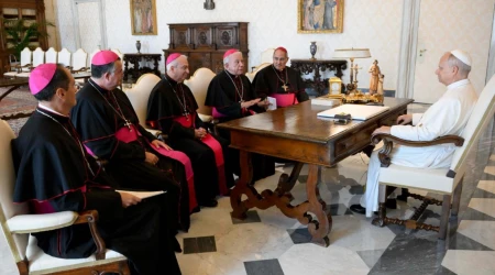 Encuentro del Consejo de la Presidencia de la CEM con el Papa León XIV