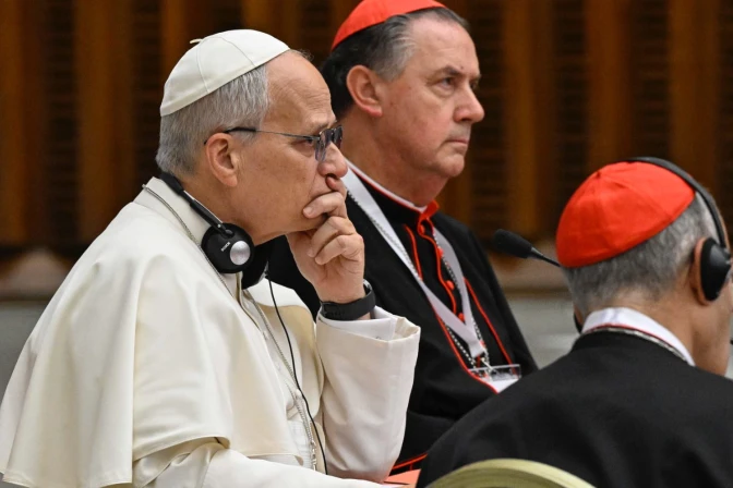 Papa León XIV en el Consistorio Extraordinario