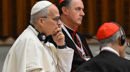 Papa León XIV en el Consistorio Extraordinario