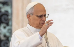 El Papa León XIV. Crédito: Daniel Ibáñez / EWTN News.