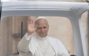 El Papa León XIV Crédito: Vatican Media.