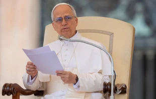 El Papa León XIV el 21 de mayo de 2025 en su primera audiencia general en la Plaza de San Pedro. Crédito: Daniel Ibáñez / EWTN News.