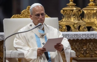 El Papa León XIV este 9 de junio al presidir la Misa por el Jubileo de la Santa Sede en la Basílica de San Pedro del Vaticano. Crédito: Daniel Ibáñez/EWTN News.